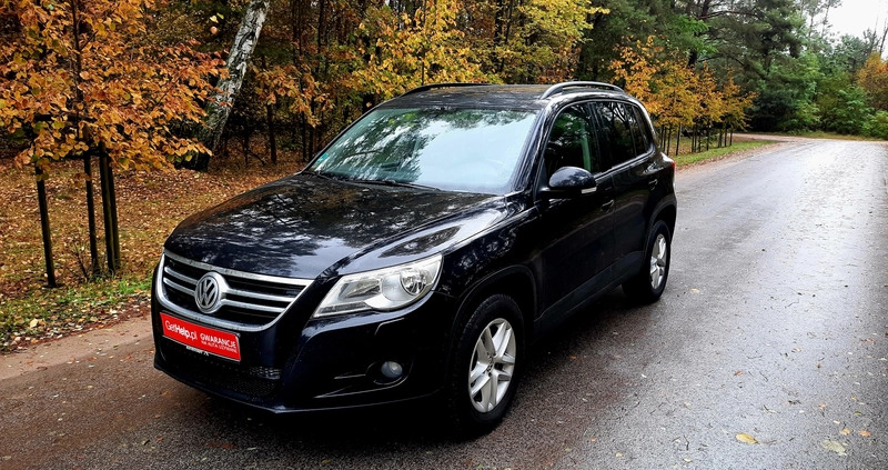 Volkswagen Tiguan cena 38800 przebieg: 105000, rok produkcji 2011 z Czarnków małe 232